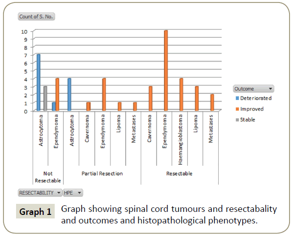 spine-spinal-cord